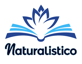 Screenshot 2025-09-29 224820